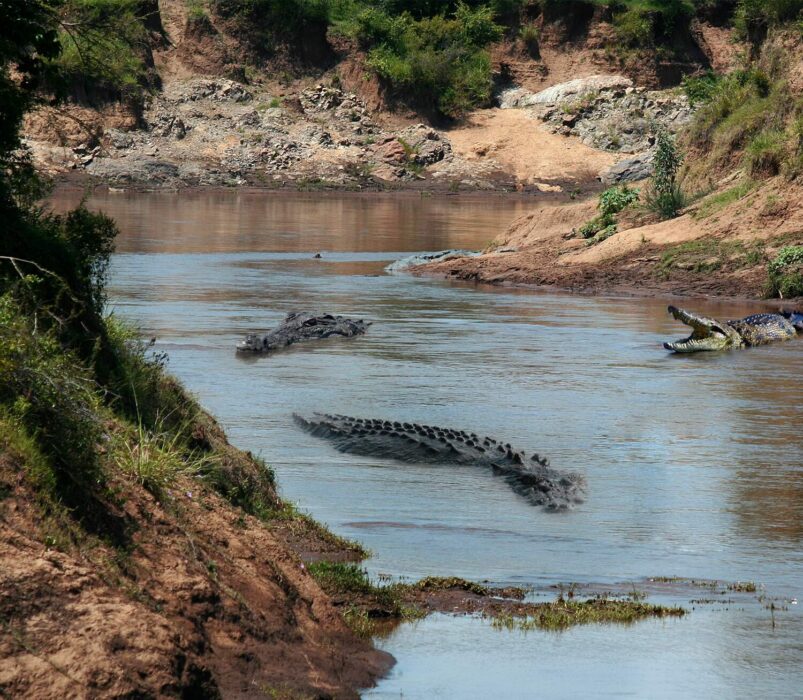 Chambal river and ravine landscape